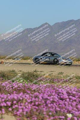 media/Jan-29-2023-PCA San Diego (Sun) [[aa0301ccc2]]/Yellow Group/Session 1 (Turn 15 Bloom)/